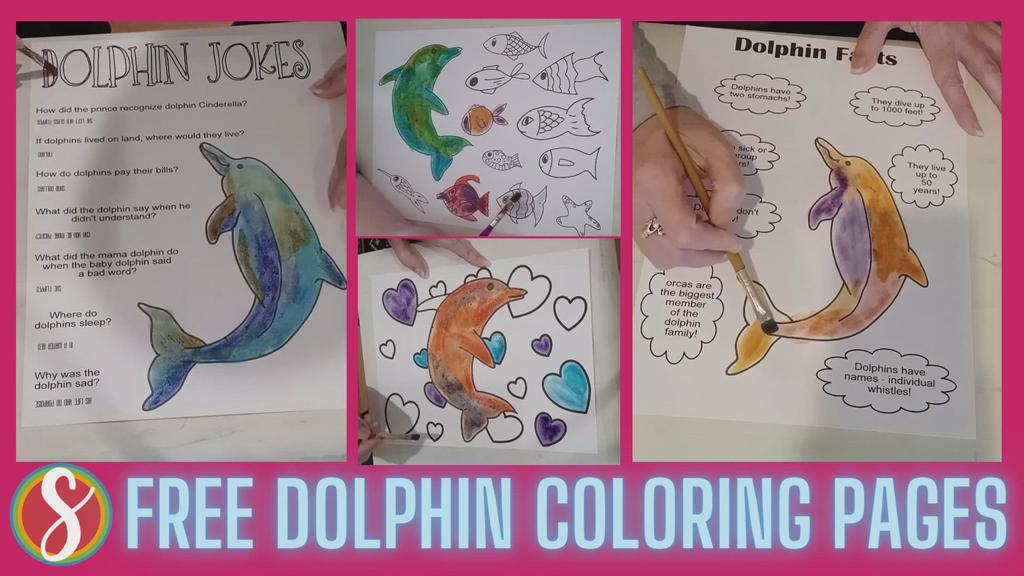 'Video thumbnail for Free Dolphin Coloring Pages'